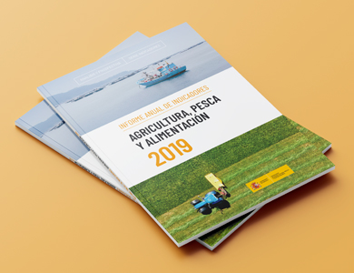 Cubierta. Informe anual de indicadores